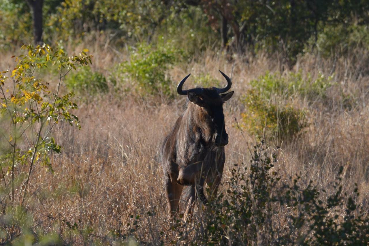 Mzsingitana Tented Camp Hoedspruit Luaran gambar