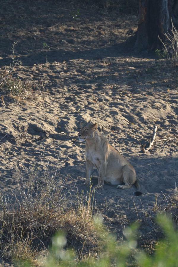 Mzsingitana Tented Camp Hoedspruit Luaran gambar